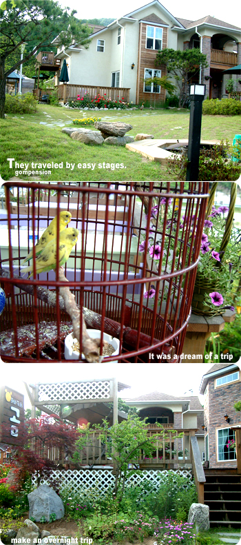 ^-^�����ϸ��� �ٽõ鷯��..