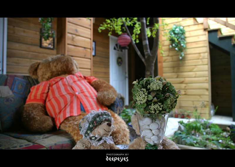 ������ �Բ�