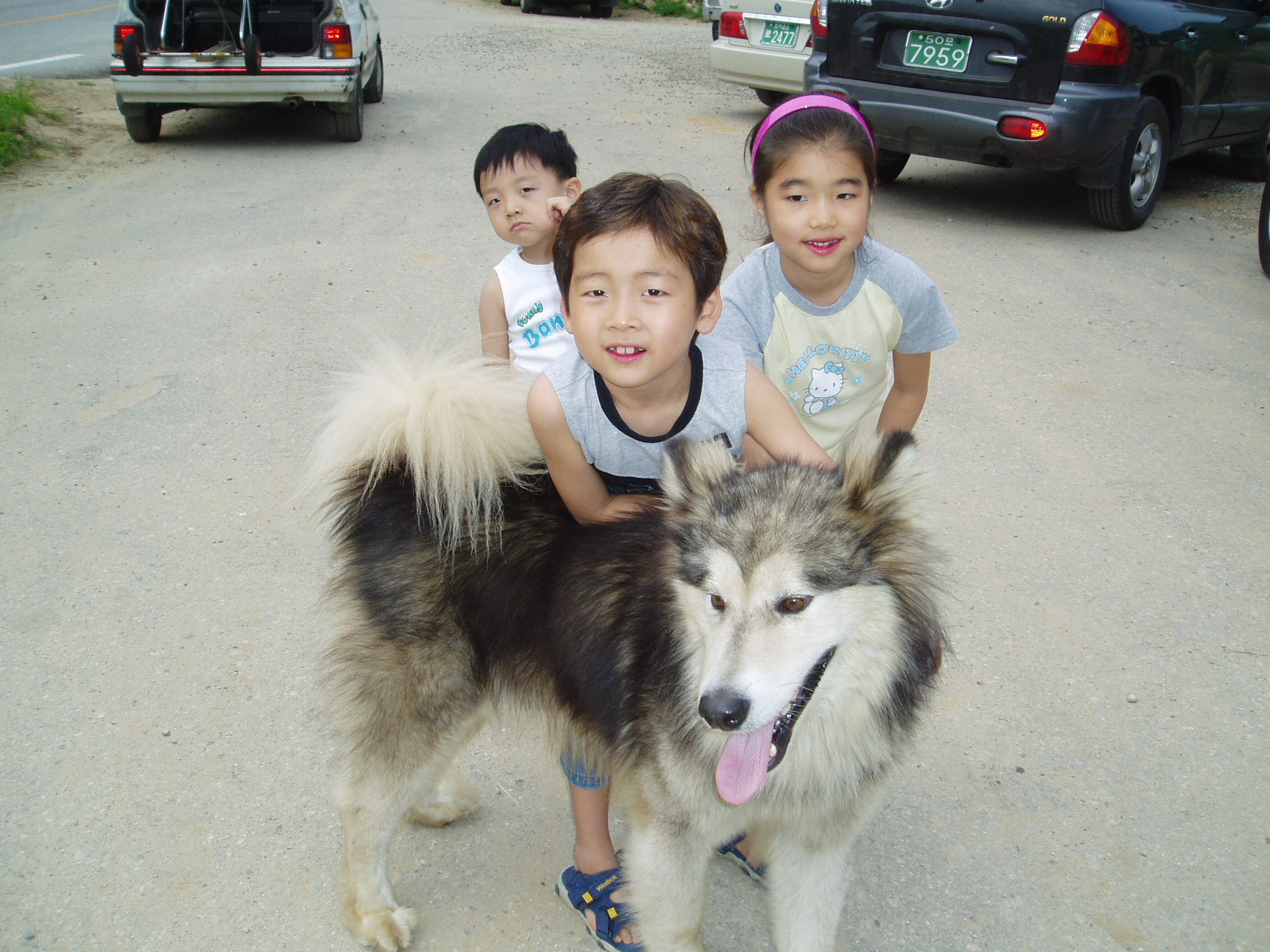 ����ŷ� ������� ���ֿ� �Բ�