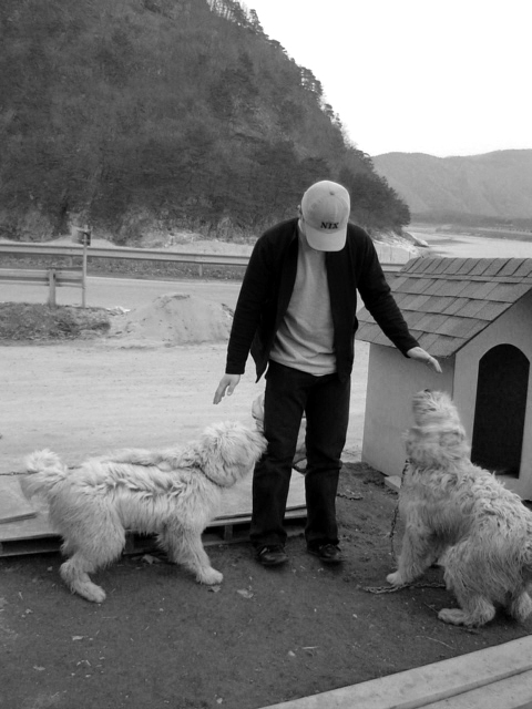 ���̿� ����ģ��