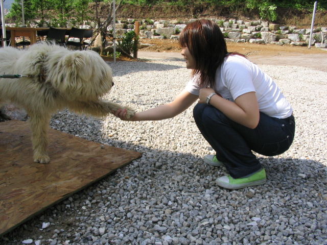 �ڿ� �ִ� ����  �Ǽ� �߾��~