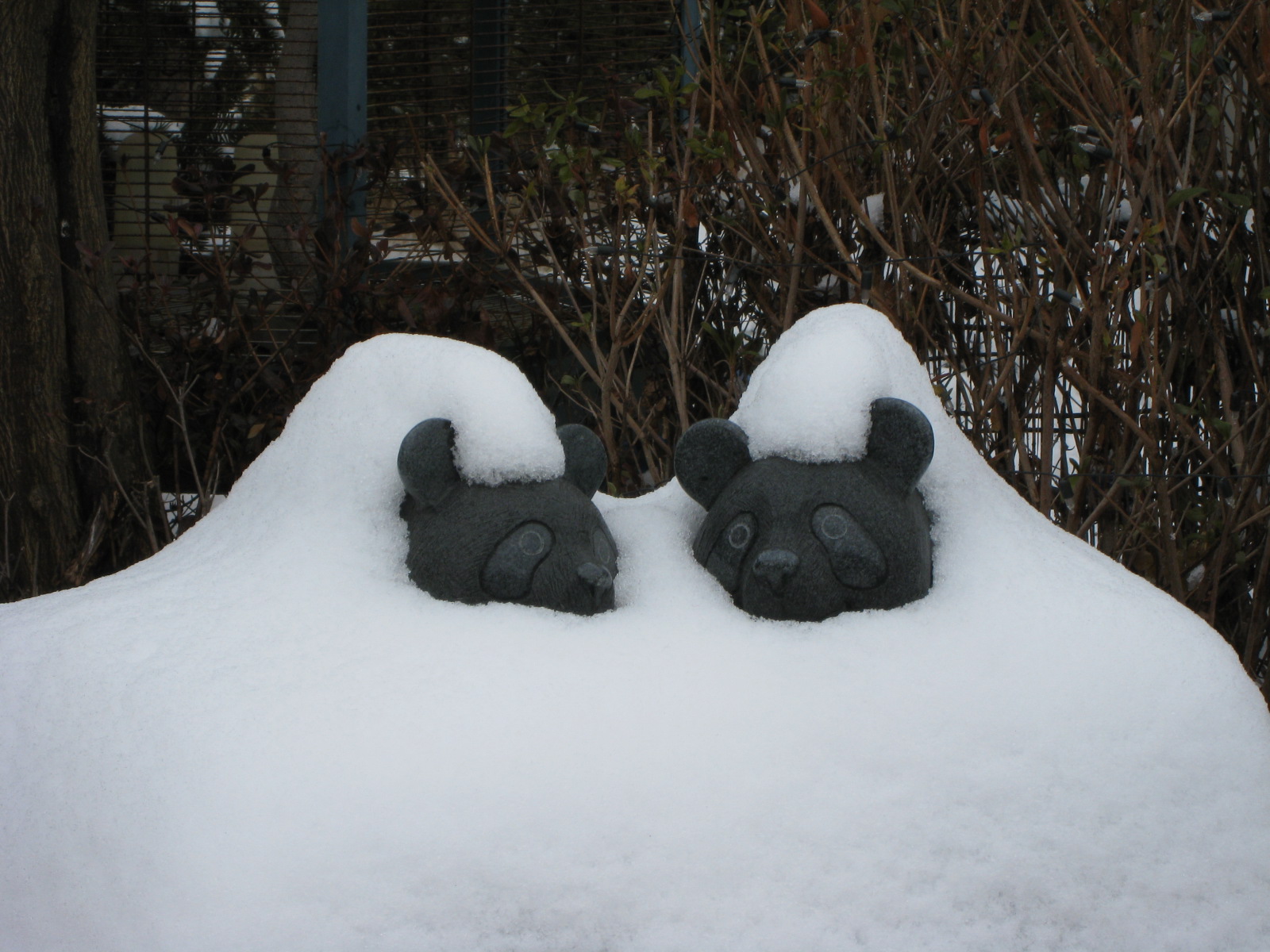 ����� ������ �ܿﳪ��