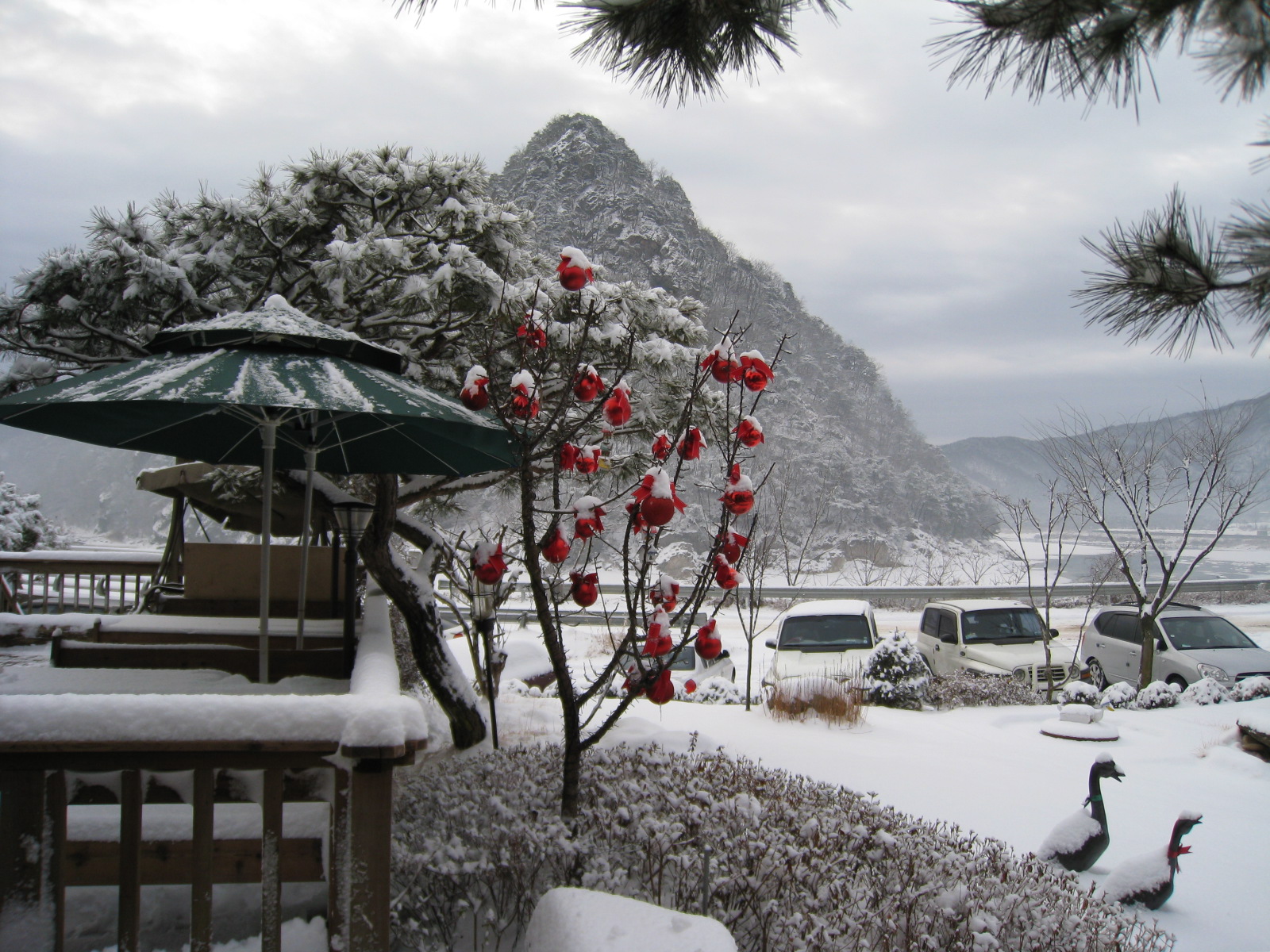 ����ǿ� ���� �ɴϴ�~~^^